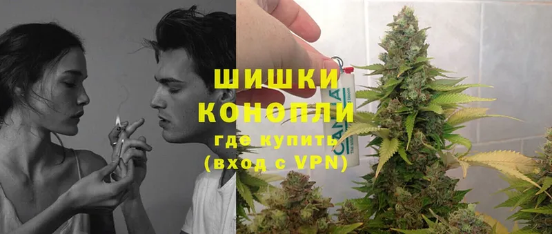 Конопля OG Kush  Вичуга 